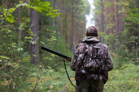 hunter, dove hunting, shotgun, hunting season