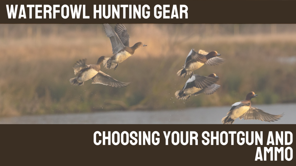 Waterfowl Hunting Gear: Choosing Your Shotgun and Ammo graphic